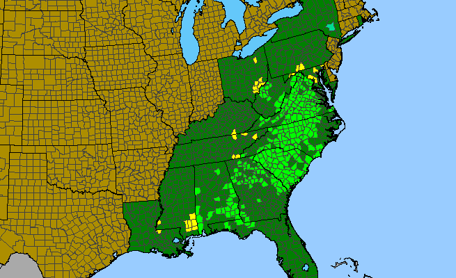 The range of Chrysogonum virginianum