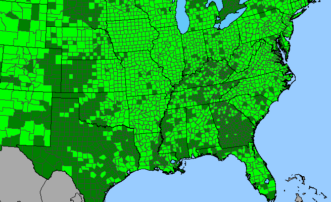 The range of Cicuta maculata