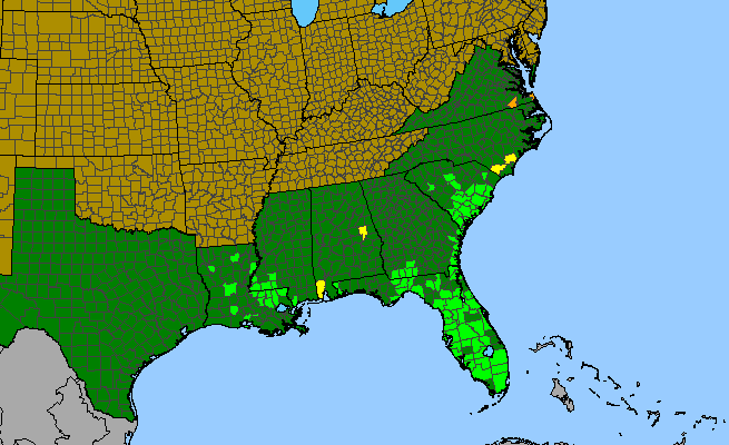The range of Cirsium nuttallii