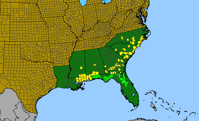 The range of Cleistesiopsis oricamporum
