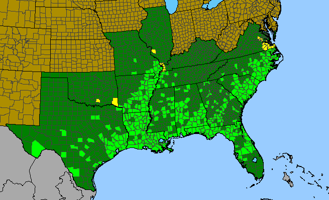 The range of Clematis crispa