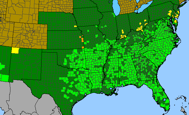The range of Clitoria mariana