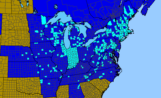 The range of Convallaria majalis