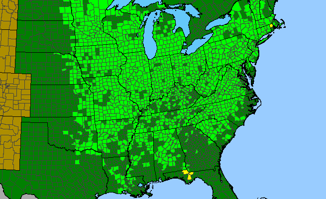 The range of Cryptotaenia canadensis