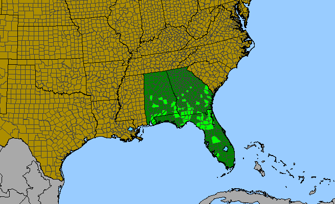 The range of Dalea albida