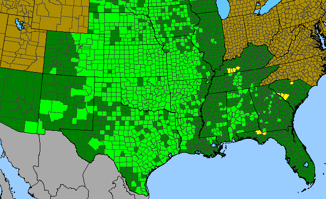 The range of Delphinium carolinianum ssp. calciphilum