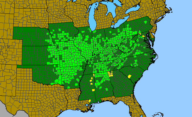The range of Delphinium tricorne
