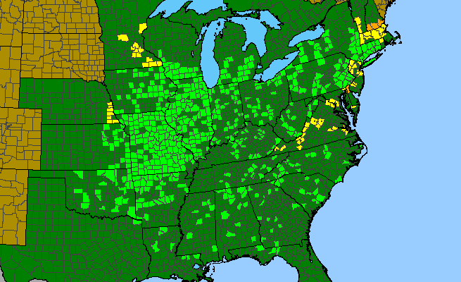 The range of Desmodium cuspidatum