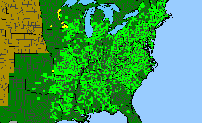 The range of Desmodium nudiflorum