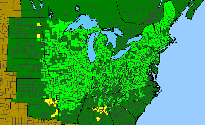 The range of Dicentra cucullaria