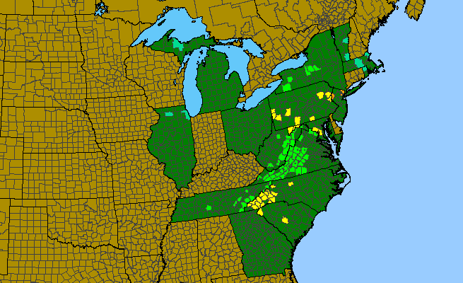 The range of Dicentra eximia