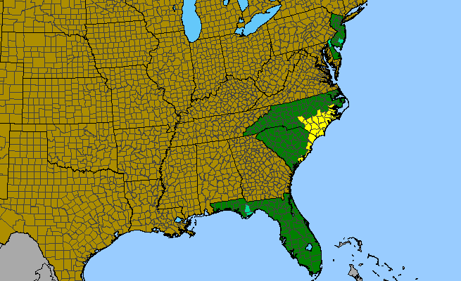 The range of Dionaea muscipula
