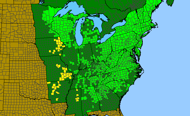 The range of Diphasiastrum digitatum