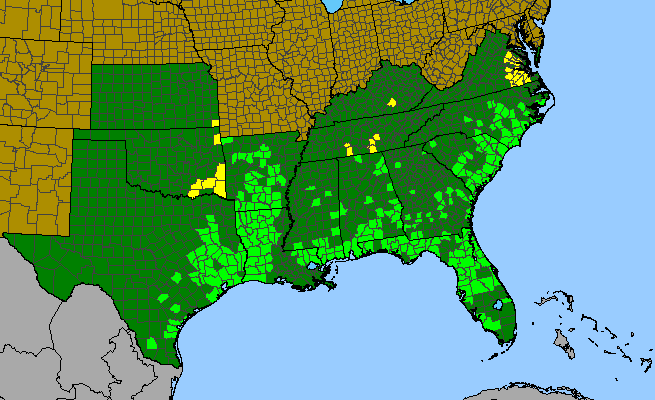 The range of Drosera brevifolia