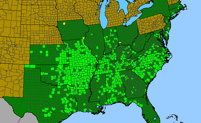 The range of Elymus glabriflorus var. glabriflorus