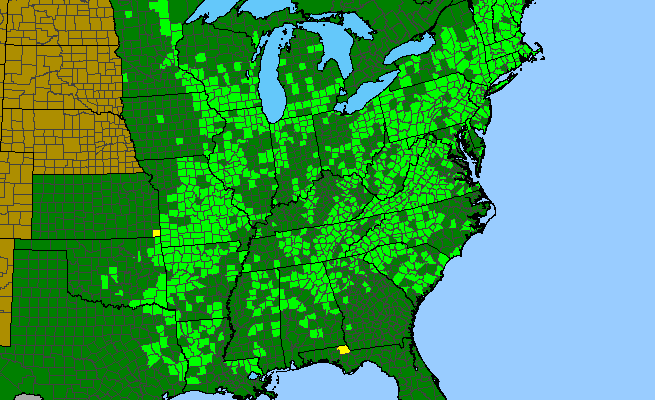 The range of Erigeron pulchellus