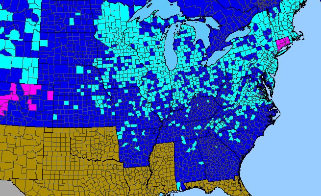 The range of Euphorbia cyparissias