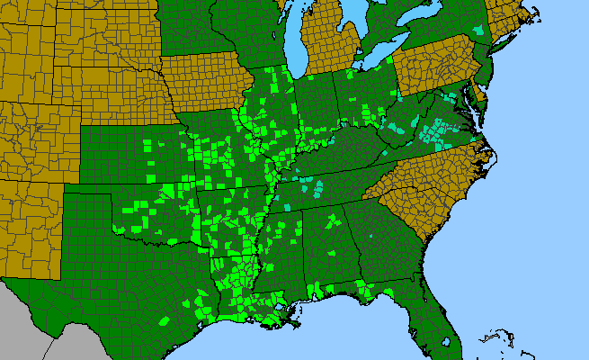 The range of Euphorbia humistrata