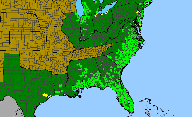 The range of Euthamia caroliniana