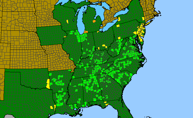 The range of Gentiana saponaria