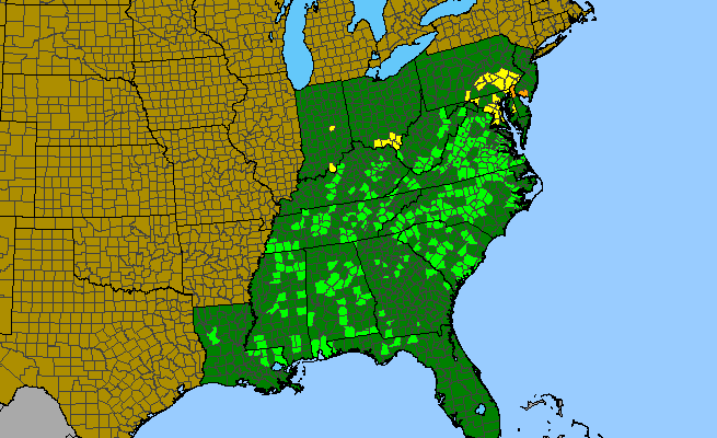 The range of Gentiana villosa