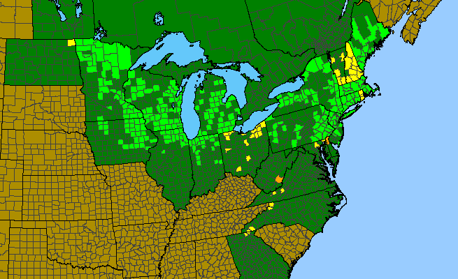 The range of Gentianopsis crinita