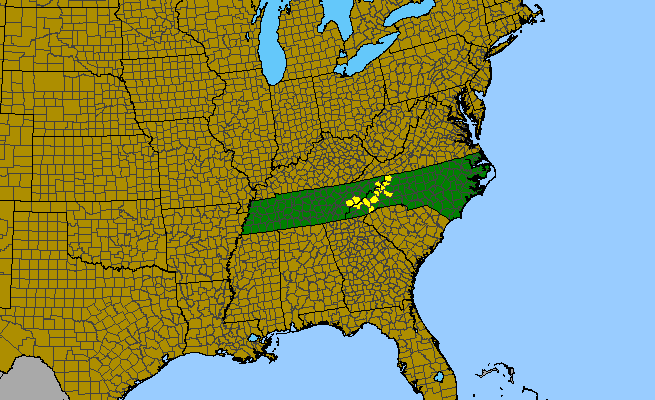 The range of Geum radiatum