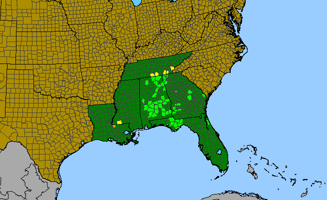 The range of Gratiola floridana
