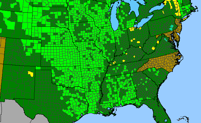 The range of Hedeoma hispida