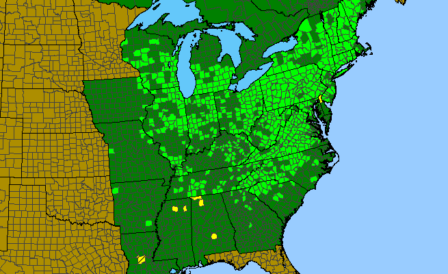 The range of Helianthus decapetalus