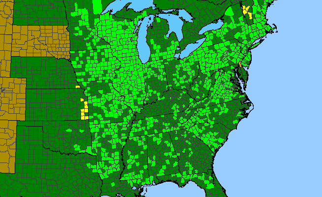 The range of Helianthus strumosus