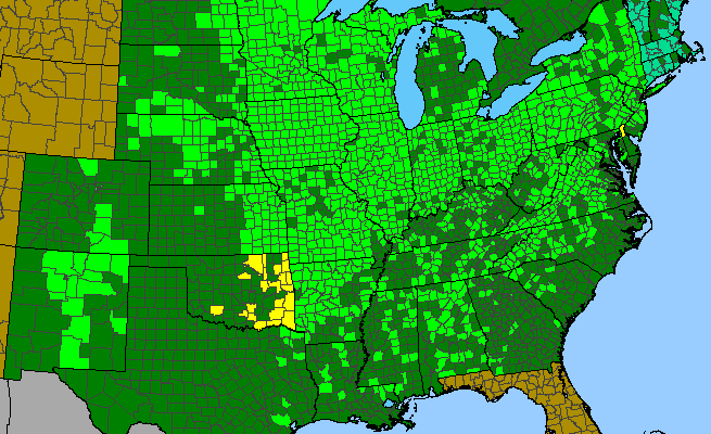 The range of Heliopsis helianthoides