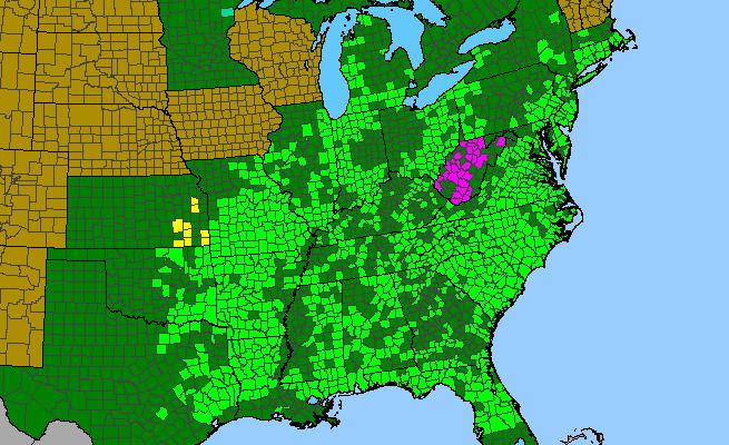 The range of Hieracium gronovii