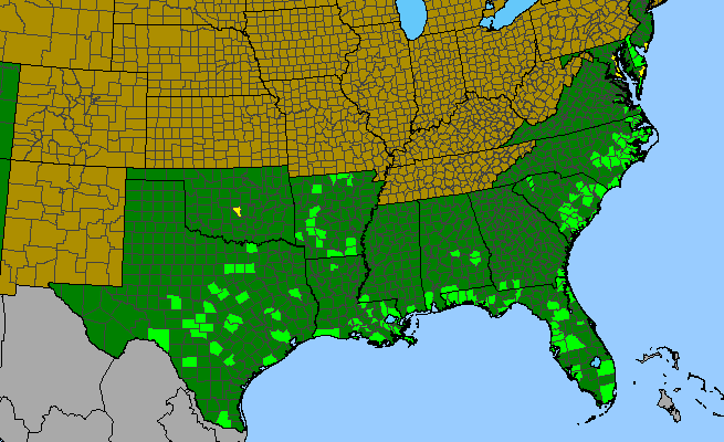 The range of Hydrocotyle prolifera