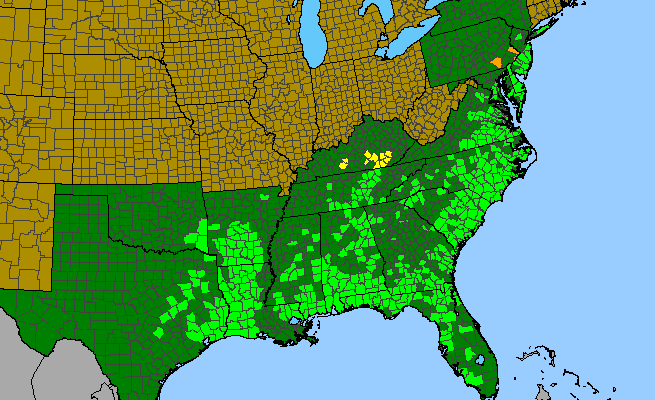 The range of Hypericum crux-andreae