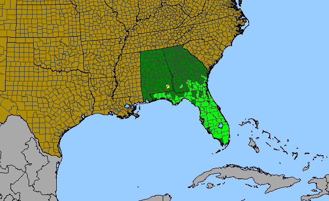 The range of Hypericum tetrapetalum
