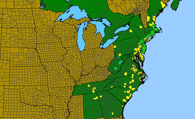 The range of Iris prismatica