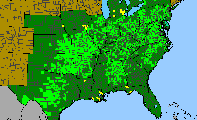 The range of Justicia americana