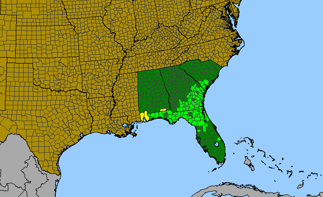 The range of Kalmia hirsuta