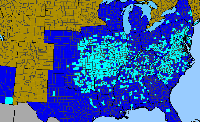 The range of Kummerowia stipulacea