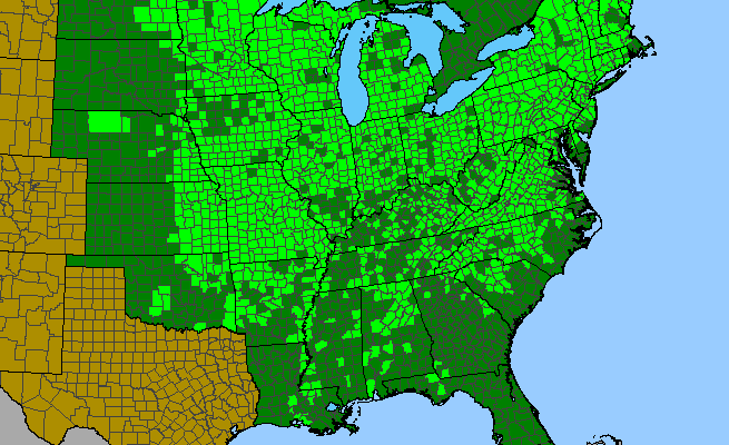 The range of Laportea canadensis