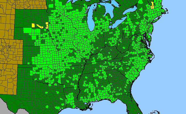 The range of Lespedeza capitata