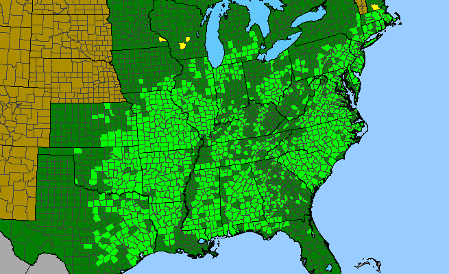 The range of Lespedeza virginica