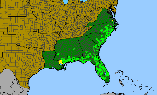The range of Lilium catesbaei