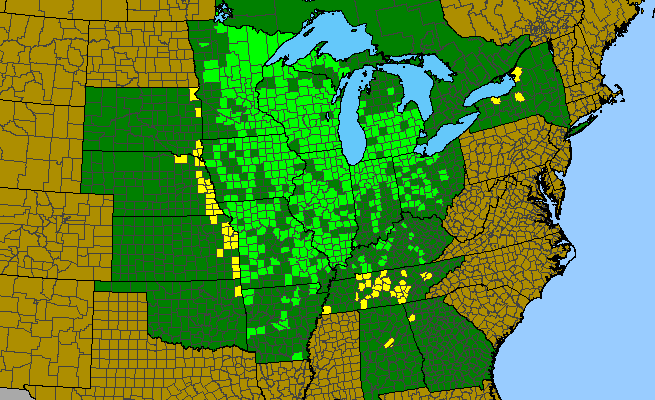 The range of Lilium michiganense