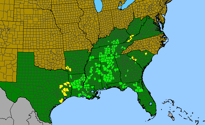 The range of Lithospermum tuberosum