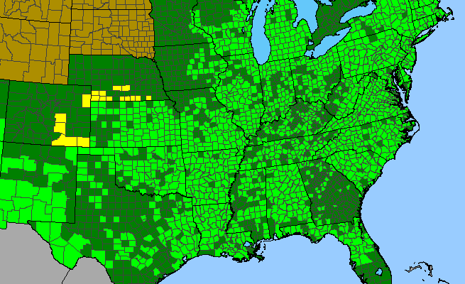The range of Lobelia cardinalis<