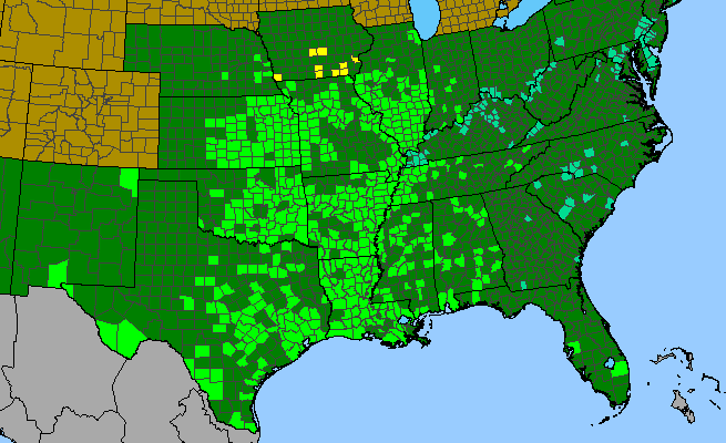 The range of Ludwigia peploides var. glabrescens