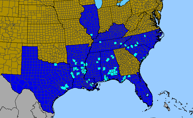 The range of Lycoris radiata