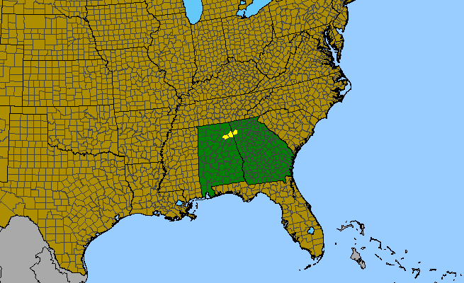 The range of Lysimachia graminea